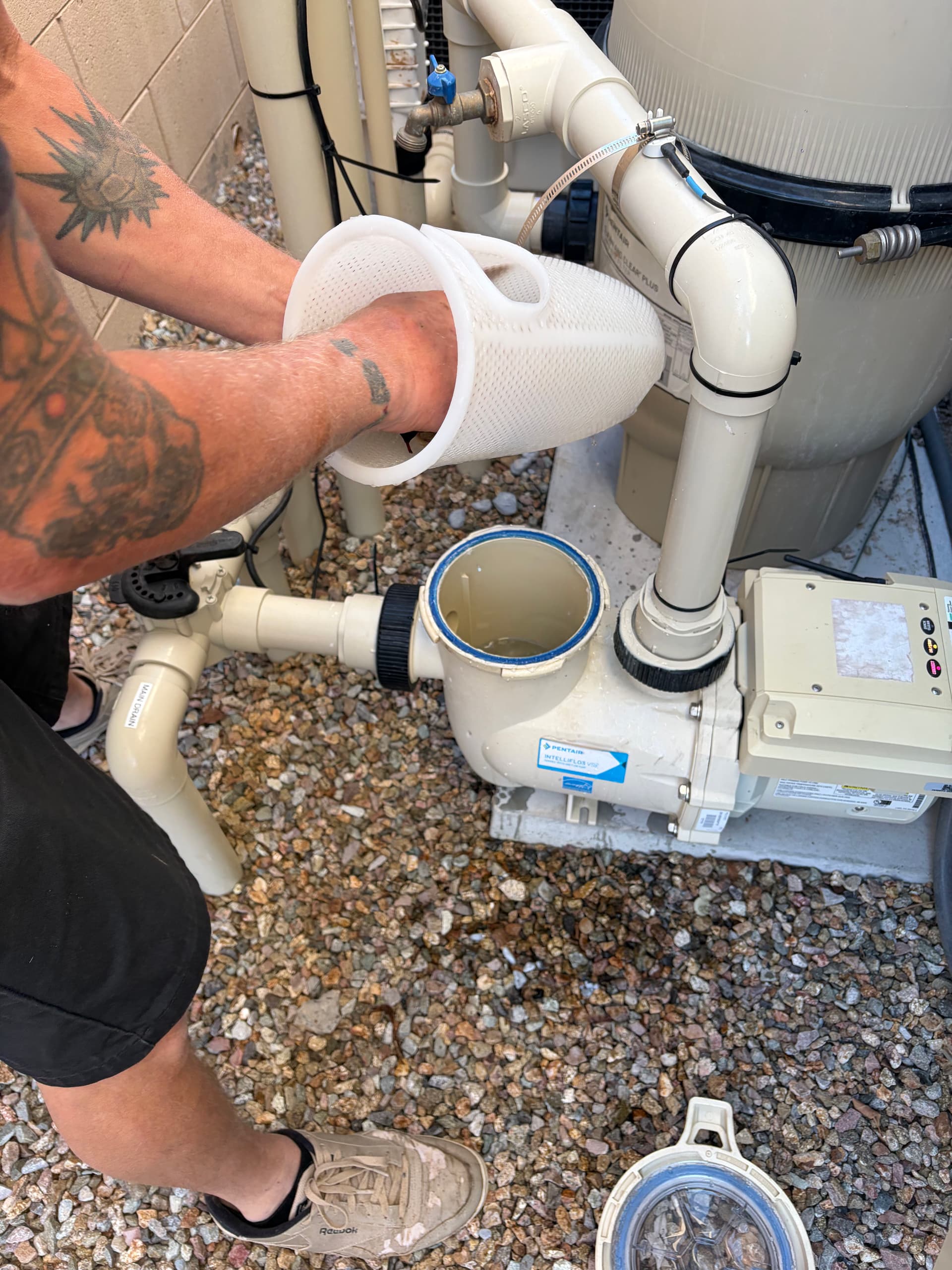 The Secret to a Pristine Pool