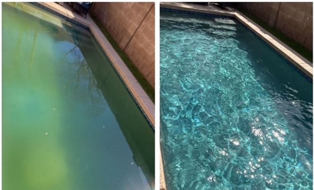 Before and after photo of a swimming pool, showing transformation from green to clear water.