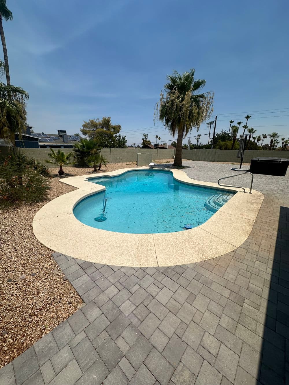 Sparkling blue swimming pool surrounded by palm trees and paver patio in sunny landscape.