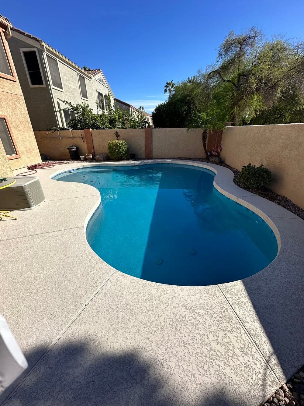 backyard swimming pool with clear water, surrounded by landscaping and residential homes